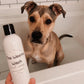 Pet Shampoo/Wash