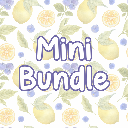 Clean Home Mini Bundle